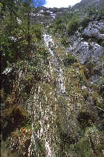 Wasserfall durch senkrechte "Wiese"